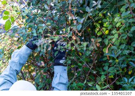 花園維護園丁 135401107