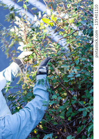 Garden maintenance gardener 135401110