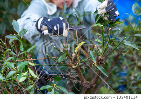 Garden maintenance gardener Garden maintenance gardener 135401114