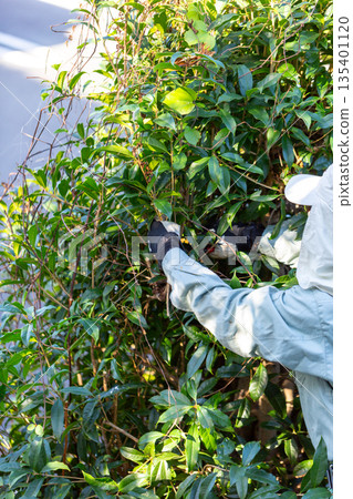 Garden maintenance gardener 135401120