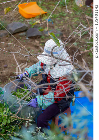 花園維護園丁 135401142