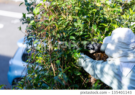 Garden maintenance gardener 135401143