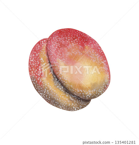 Watercolor illustration of traditional peach-shaped cookies with sugar coating. Hand-drawn sweet biscuit dessert resembling ripe peach, homemade pastry treat, festive confection. For packaging design Watercolor illustration of traditional peach-shaped cookies with sugar coating. Hand-drawn sweet biscuit dessert resembling ripe peach, homemade pastry treat, festive confection. For packaging design 135401281