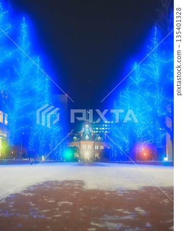 冬季縣廳前的北海道銀杏樹美景 Akapla Illuminations 冬季縣廳前的北海道銀杏樹美景 Akapla Illuminations 135401328