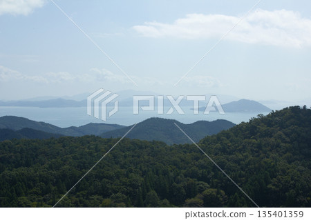 It's a forest with a distant view of the sea. 135401359