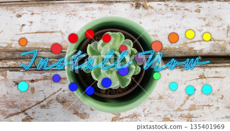 Displaying succulent in green pot on weathered tabletop, neon Install Now overlay and colorful dots 135401969
