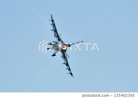 Air Self Defense Force F-2 Fighter 135402395