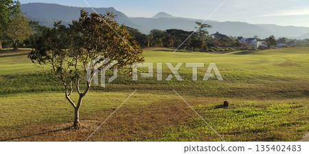 Golf course with low trees and beautiful mountain views Golf course with low trees and beautiful mountain views 135402483
