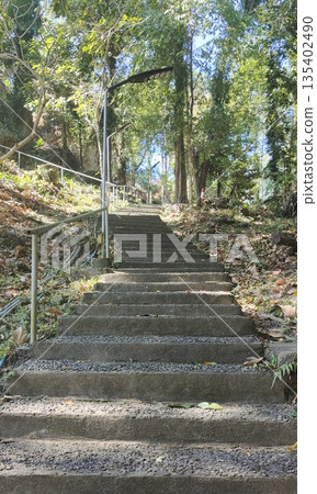 Concrete stairway leading uphill through natural mountain path 135402490