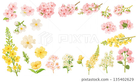 Round frame material decorated with spring-like flowers. Natural background illustration. Simple decoration. Floral decoration. Design parts. 135402629