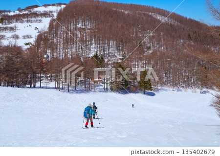 冬季從長野縣富士見町的入笠山山腰眺望北方白雪皚皚的山坡 135402679