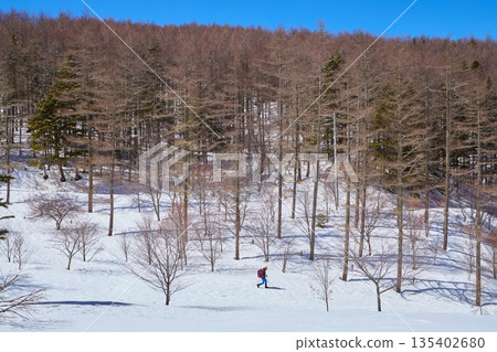 Nyukasayama Marsh in Fujimi Town, Nagano Prefecture in winter 135402680