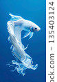 藍色背景和白色魚 135403124