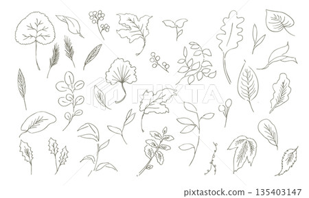 Line art. Botanical illustration with a line drawing touch. Botanical vector frame that can be used in summer and spring. Line art. Botanical illustration with a line drawing touch. Botanical vector frame that can be used in summer and spring. 135403147