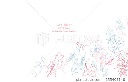 Line art. Botanical illustration with a line drawing touch. Botanical vector frame that can be used in summer and spring. Line art. Botanical illustration with a line drawing touch. Botanical vector frame that can be used in summer and spring. 135403148