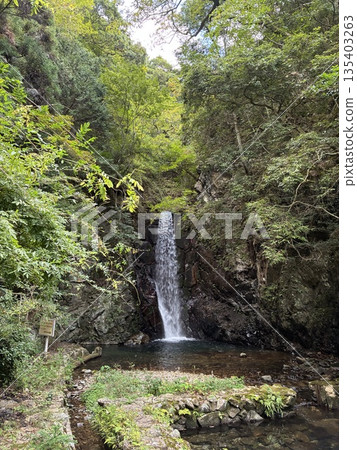 我在上山的路上發現了一個小瀑布潭，並拍了張照片。 135403263