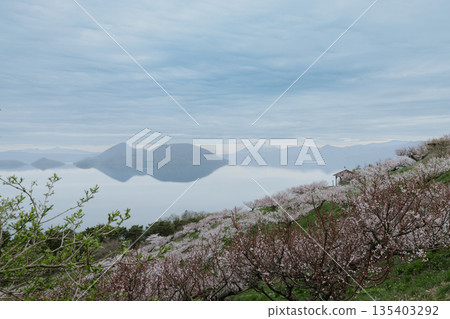 Lake Toya, Hokkaido - Sobetsu Park - 08 135403292