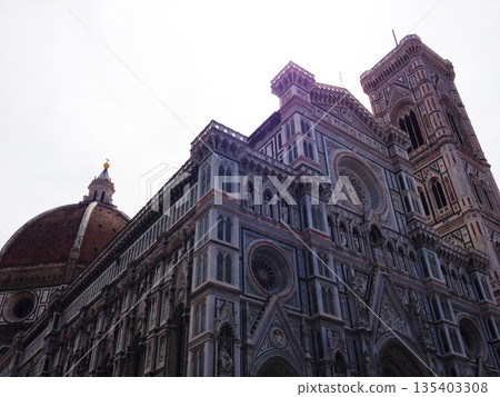 聖母百花大教堂，佛羅倫薩，意大利 135403308