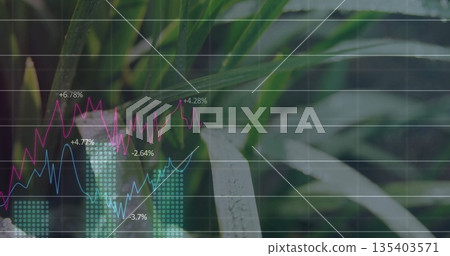 Overlaying financial chart onto tropical leaves, showing magenta and light blue lines and teal bars 135403571