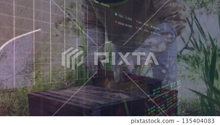 Inspecting senior beekeeper lifting frame from hive box in garden with gloves, stock-ticker overlay Inspecting senior beekeeper lifting frame from hive box in garden with gloves, stock-ticker overlay 135404083