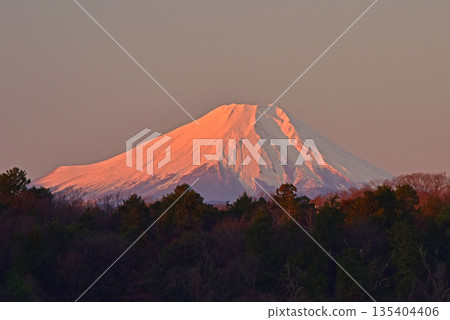 Mt. Fuji 135404406