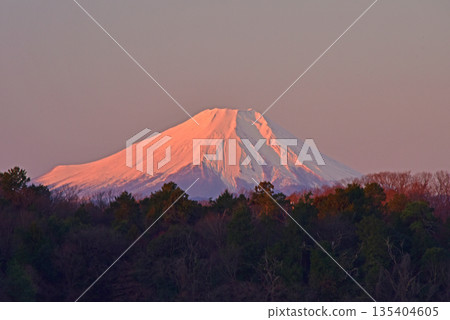 從湖邊眺望紅色的富士山 從湖邊眺望紅色的富士山 135404605