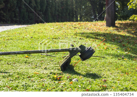 Mower brushcutter on green grass 135404734