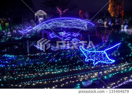 琵琶湖大塚的燈光秀 135404879