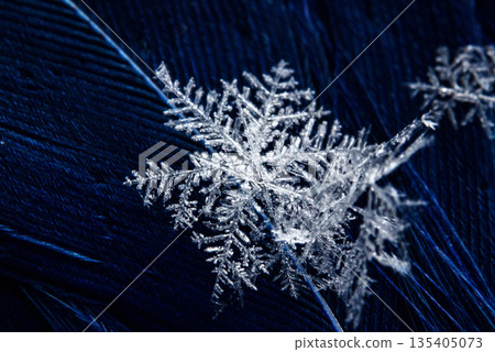 Macro photo shot of a detailed real snowflake on dark blue feather with sharp crystal structure and fine texture. Christmas winter snowflakes background. Snowflake Closeup. Copy space. Ice, frost Macro photo shot of a detailed real snowflake on dark blue feather with sharp crystal structure and fine texture. Christmas winter snowflakes background. Snowflake Closeup. Copy space. Ice, frost 135405073
