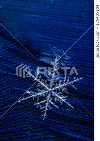 Macro photo shot of a detailed real snowflake on dark blue feather with sharp crystal structure and fine texture. Christmas winter snowflakes background. Snowflake Closeup. Copy space. Ice, frost Macro photo shot of a detailed real snowflake on dark blue feather with sharp crystal structure and fine texture. Christmas winter snowflakes background. Snowflake Closeup. Copy space. Ice, frost 135405104