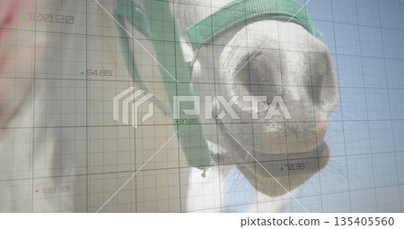 Showing horse muzzle wearing bright green halter in paddock, with grid overlay, copy space 135405560