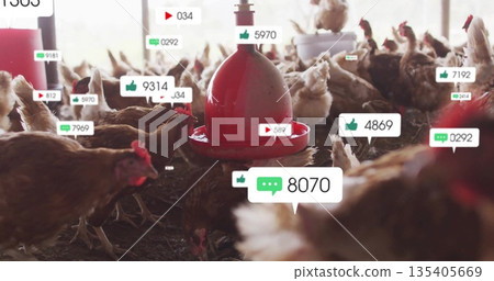 Pecking brown hens flocking around red feeder inside poultry barn, with floating social media icons 135405669