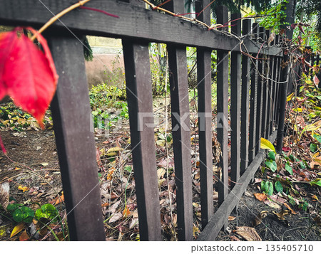 A wooden fence with autumn leaves in a garden setting. 135405710