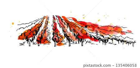 Watercolor and ink landscape of cultivated fields, rural life. Isolated hand drawn illustration for agriculture industry design, food market graphics, sustainability and natural product identity. Watercolor and ink landscape of cultivated fields, rural life. Isolated hand drawn illustration for agriculture industry design, food market graphics, sustainability and natural product identity. 135406058