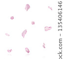 Beautiful blooming of delicate pink Sakura flowers falling in the air, isolated. Zero gravity or levitation spring flowers conception, high resolution image 135406146
