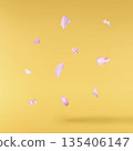 Beautiful blooming of delicate pink Sakura flowers falling in the air, isolated. Zero gravity or levitation spring flowers conception, high resolution image 135406147