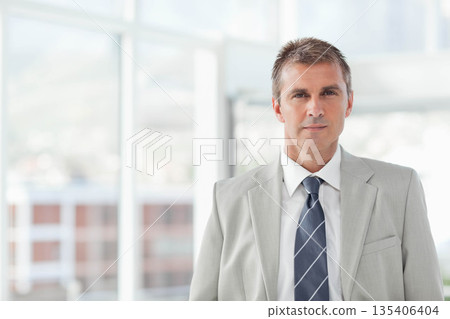 Businessman wearing gray suit, striped tie standing in office by grid windows, copy space 135406404