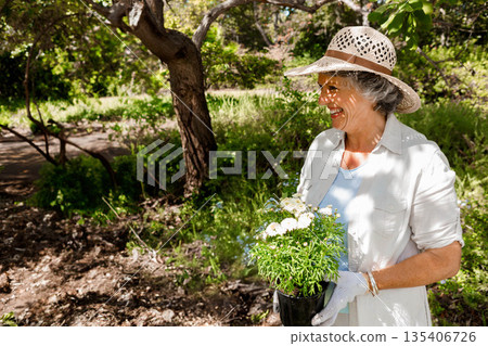 Senior woman wearing straw sun hat and gloves holding black pot of daisies in sunlit garden Senior woman wearing straw sun hat and gloves holding black pot of daisies in sunlit garden 135406726