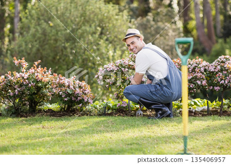Male gardener kneeling in garden tending pink flower bed with shovel and cultivator, copy space 135406957