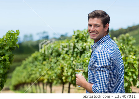Man standing amid grapevines in vineyard, holding stemmed white wine glass under sky, copy space 135407011