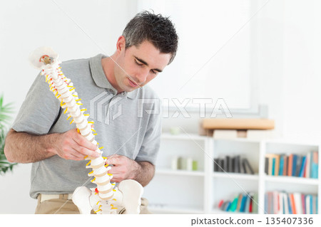 Adult male healthcare professional examining and adjusting anatomical spine model in treatment room Adult male healthcare professional examining and adjusting anatomical spine model in treatment room 135407336