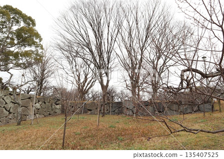 2024年，福岡，福岡市，風景，中央區，城堡，福岡城遺址，第25部分 135407525