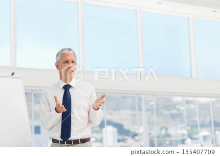 Mature adult male wearing tie presenting on flip chart in meeting room near windows, copy space 135407709