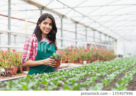 Female gardener wearing green apron holding potted plant among greenhouse seedlings, copy space Female gardener wearing green apron holding potted plant among greenhouse seedlings, copy space 135407996