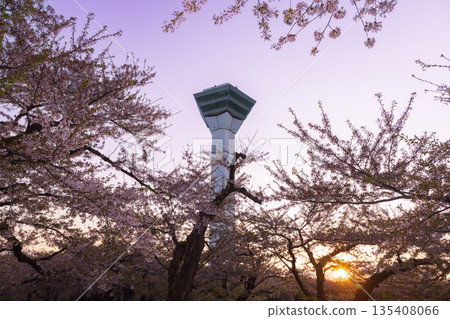 北海道函館 - 五稜郭塔櫻花與日落 - 02 135408066