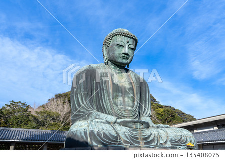 鎌倉大佛 鎌倉大佛 135408075