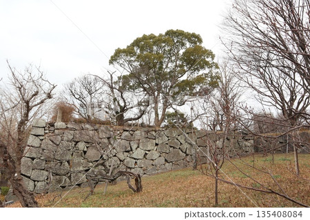 2024年，福岡，福岡市，風景，中央區，城堡，福岡城遺址，第26部分 135408084