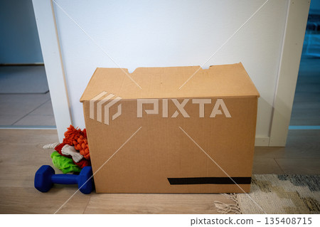 Cardboard moving box with colorful dog toys and dumbbell on floor in modern home interior Cardboard moving box with colorful dog toys and dumbbell on floor in modern home interior 135408715