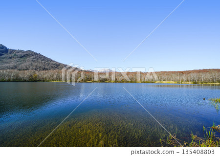 Renka White Pond（Itoigawa-shi） 135408803