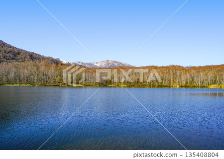 Renka White Pond (Itoigawa-shi) Renka White Pond (Itoigawa-shi) 135408804